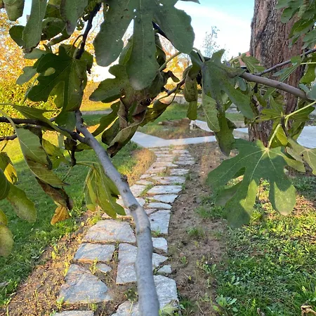 In Nel Roero Sanfre